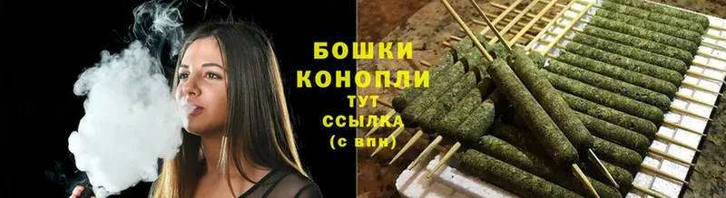 Канабис OG Kush  Верея 